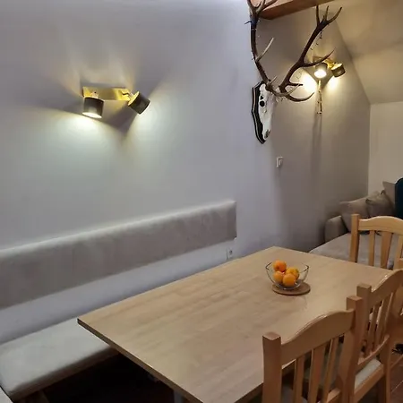 Macesen Rogla Prázdninový dům